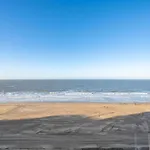 In Near Knokke-Heist