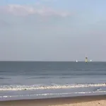 In Near * クノック・ヘイスト