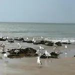 In Near