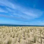 In Near