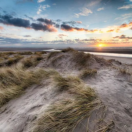 In Near * クノック・ヘイスト