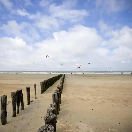 In Near * Knokke-Heist