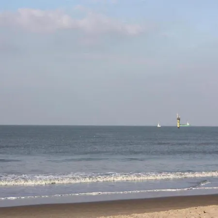 In Near * Knokke-Heist