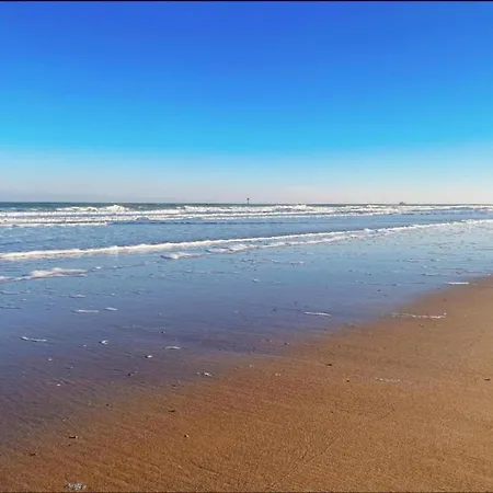 In Near 克诺克－海斯特