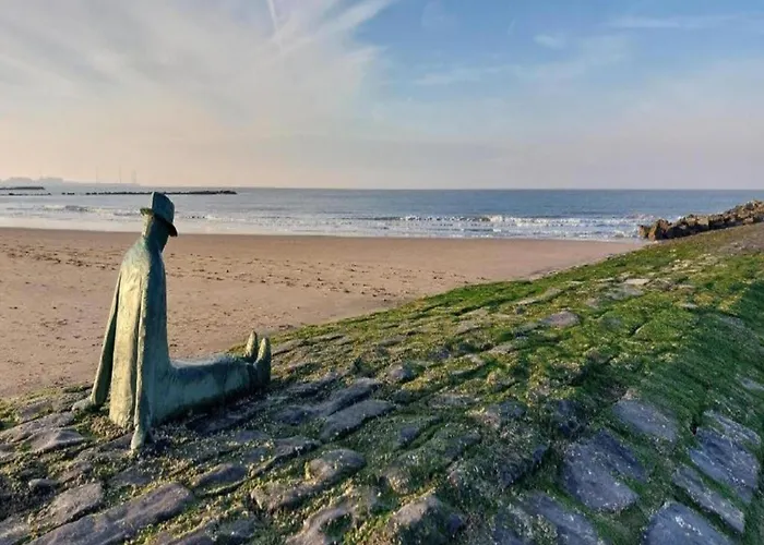 דירה In Near קנוקה-הייסט