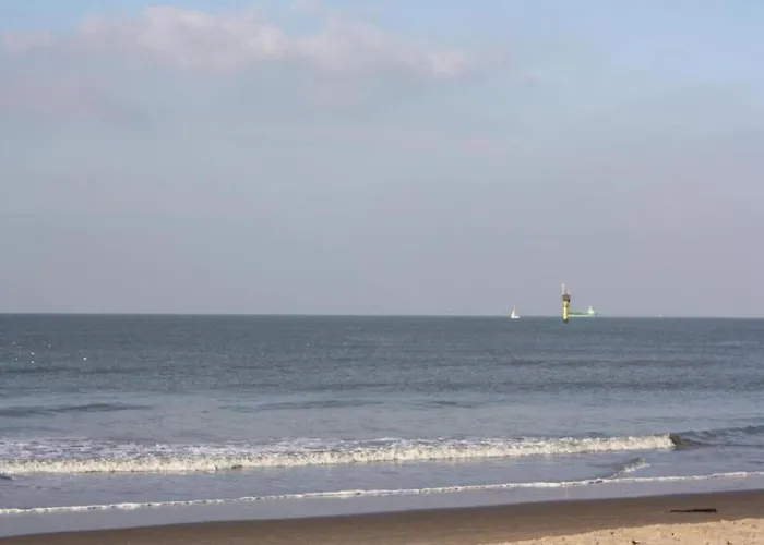 In Near * קנוקה-הייסט