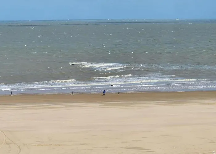 In Near דירה קנוקה-הייסט