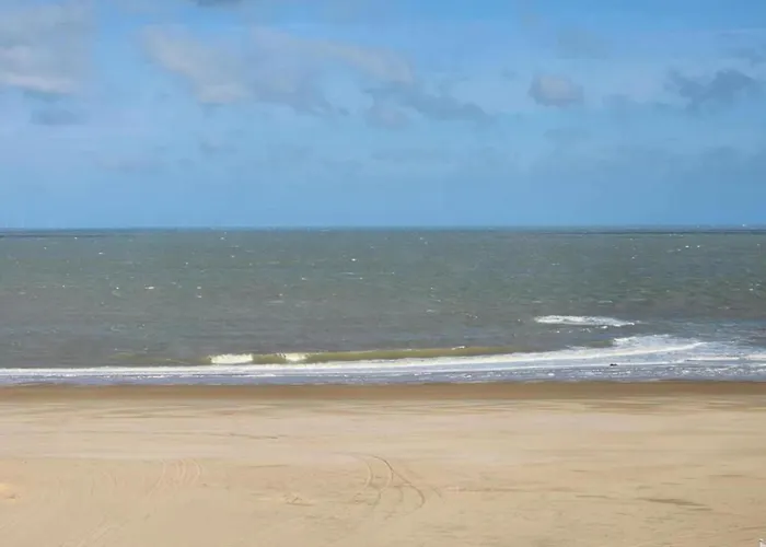 In Near קנוקה-הייסט